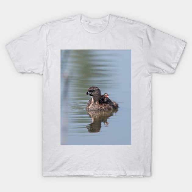 Pied-billed Grebe T-Shirt by Jim Cumming